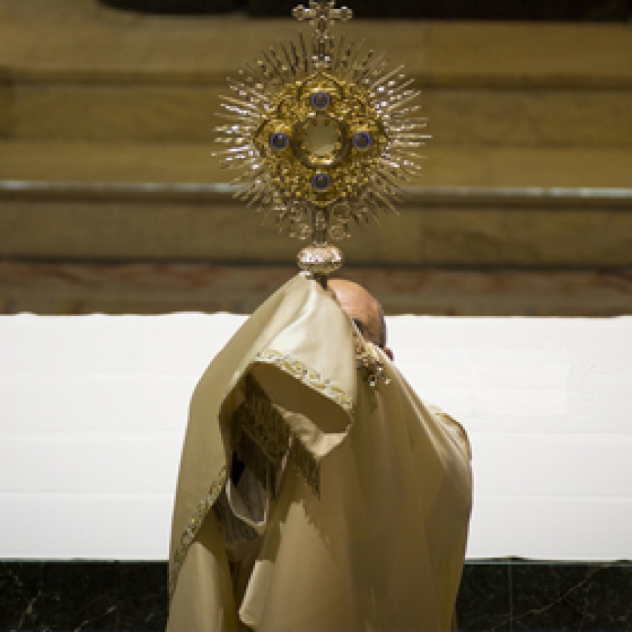 Vigilia en la Almudena.