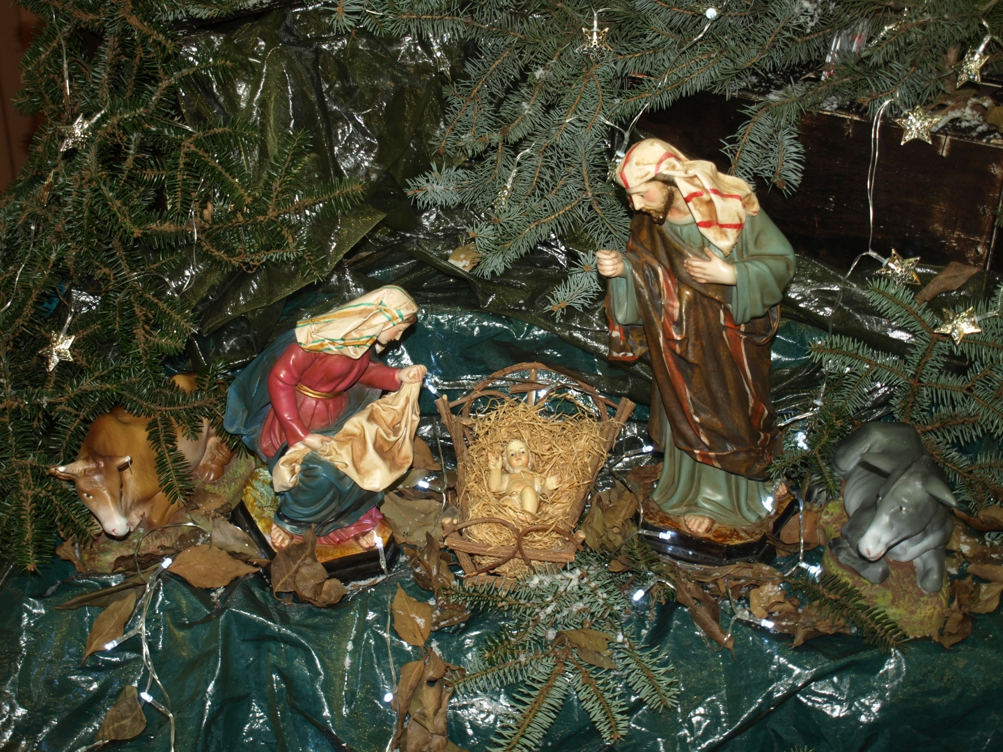 Celebramos la Navidad 2018