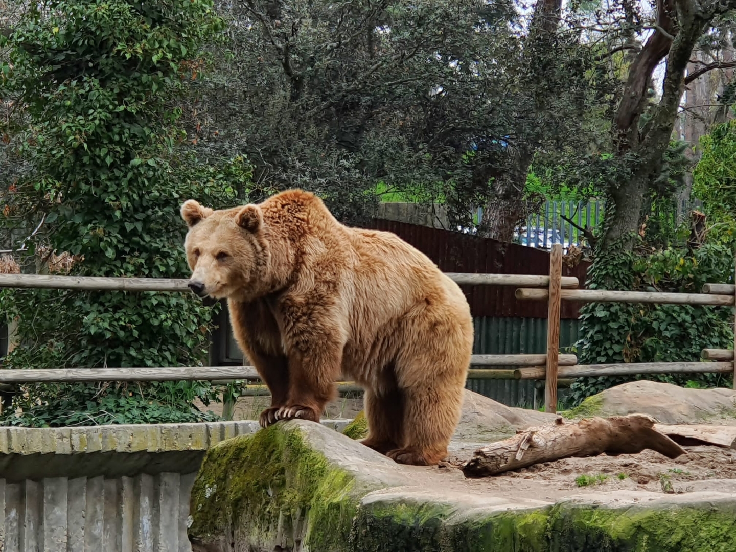 Visita al Zoo