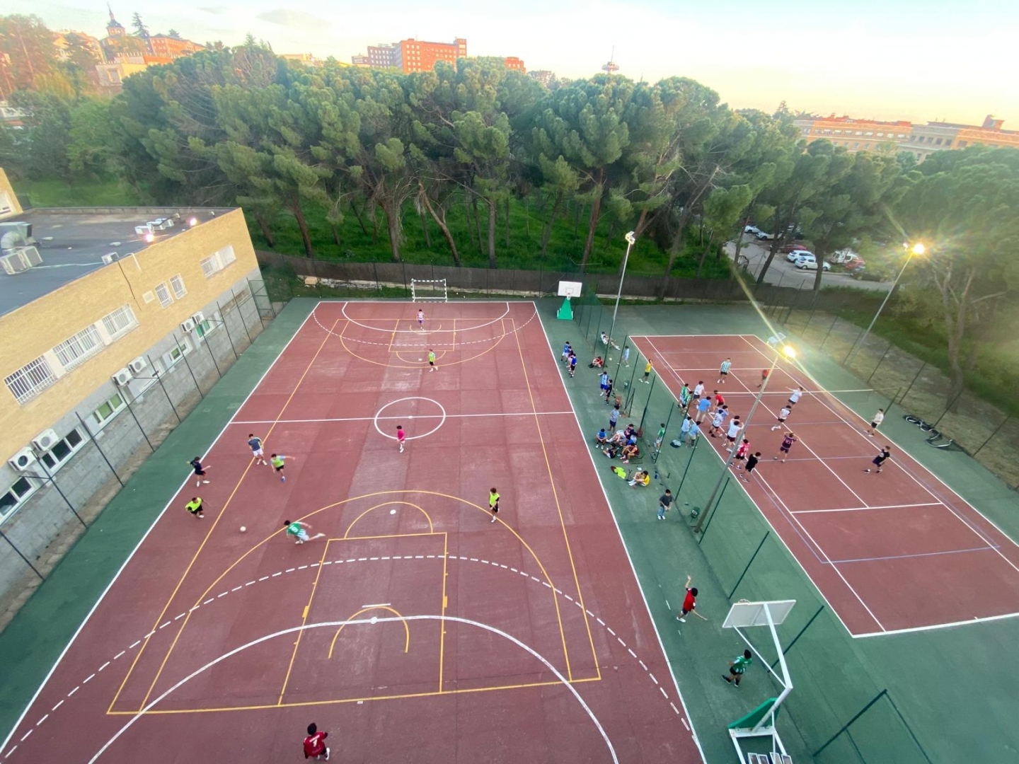 Torneo por Plantas 23/24