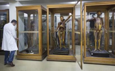 Museo de Anatomía UCM