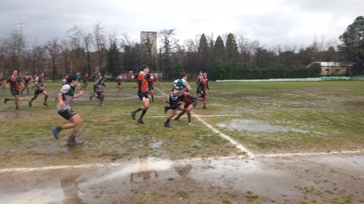 Rugby a Semifinal