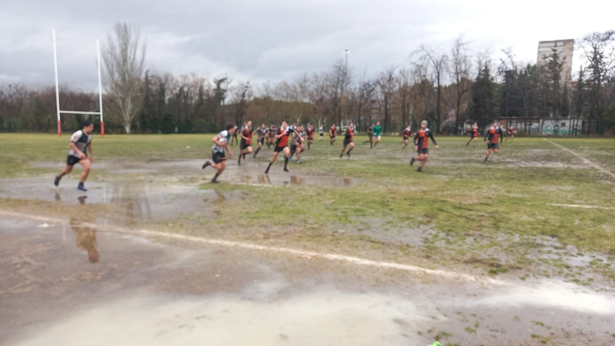 Rugby a Semifinal