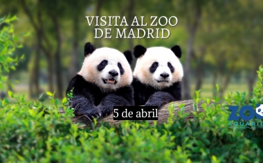Visita al Zoo de Madrid