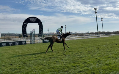 Visita de nuestros colegiales al Hipódromo de la Zarzuela